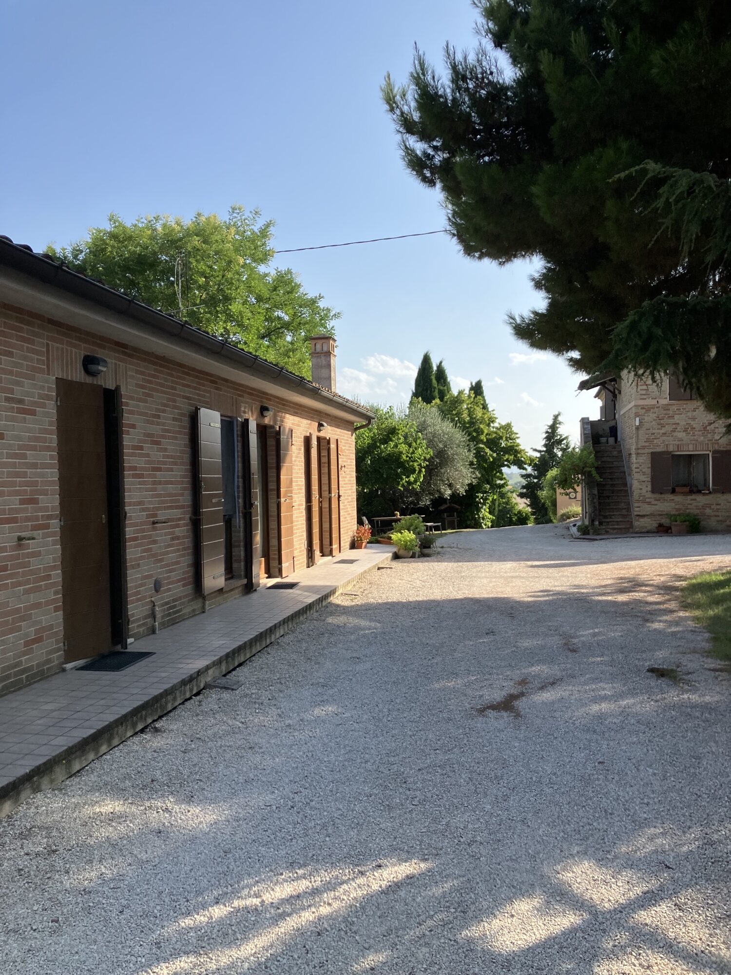 descrizione immagine