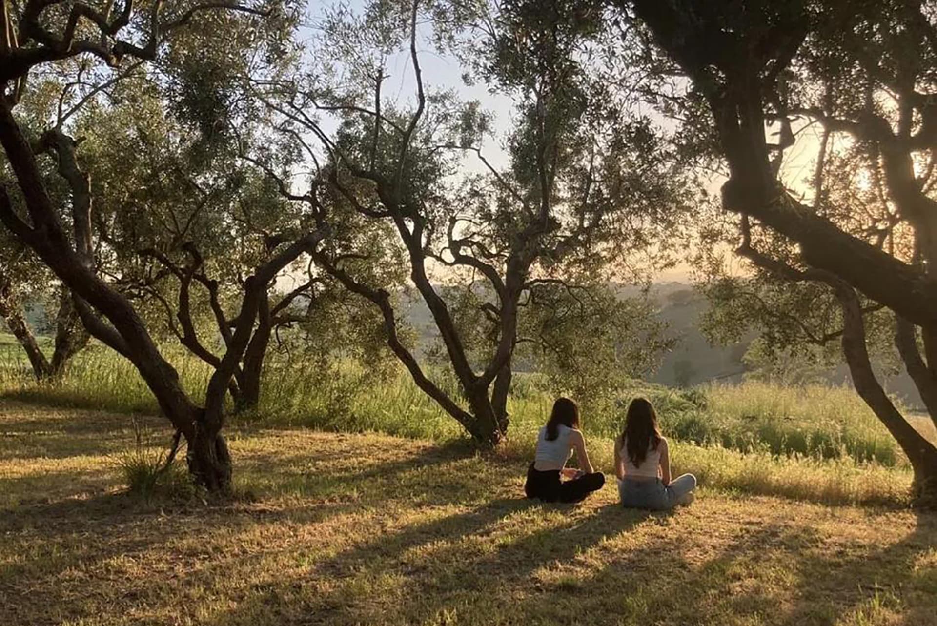 descrizione immagine