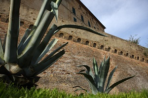 The Walls