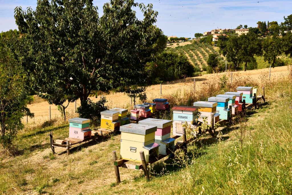 descrizione immagine