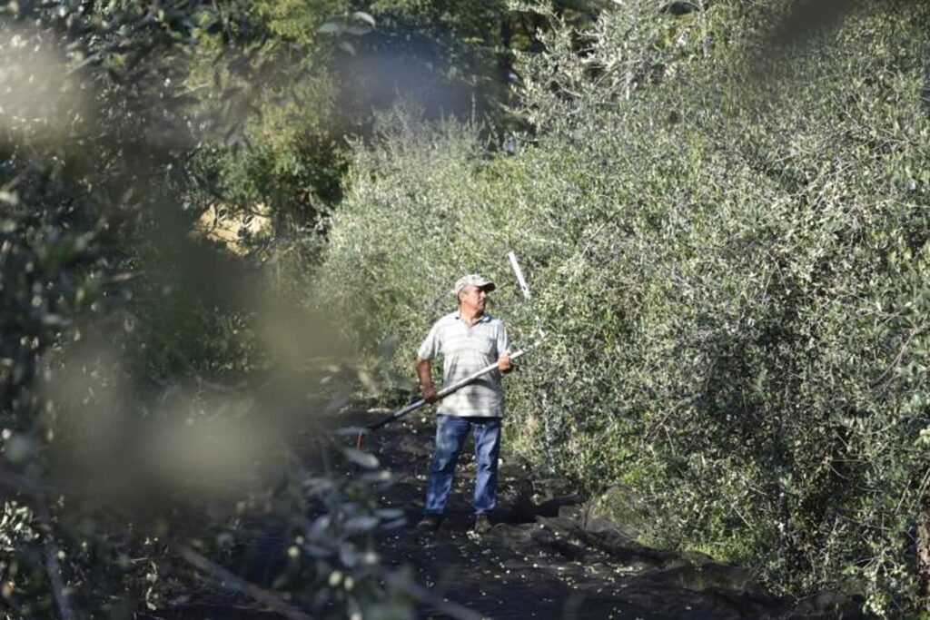 descrizione immagine